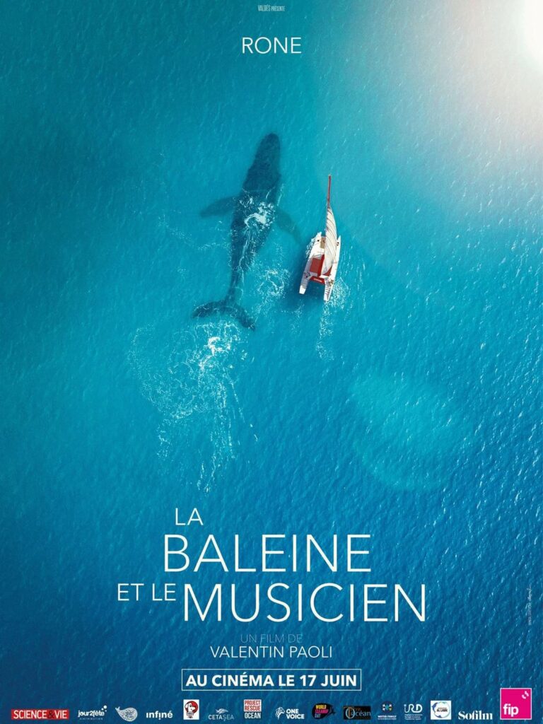 Affiche La baleine et le musicien avec une baleine et un bateau